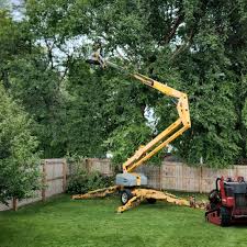 Mulching Services in La Crescent, MN